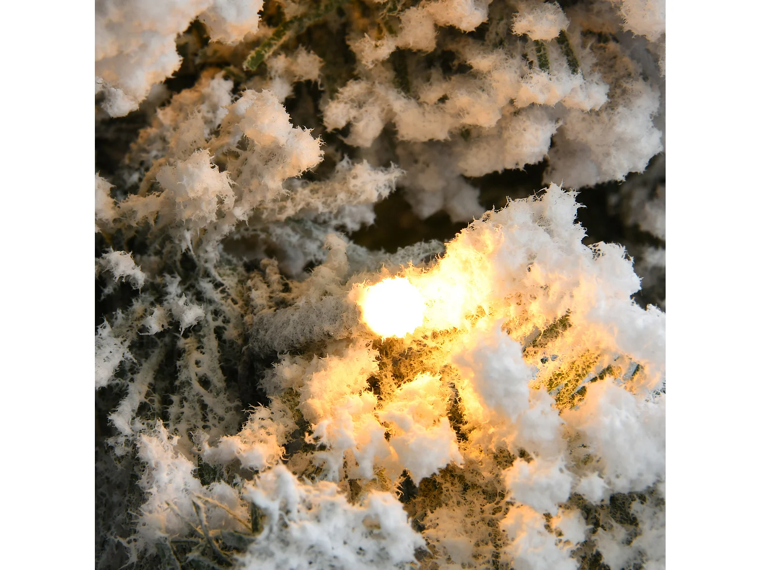 Árbol de Navidad nevado abeto blanco 210 cm 1000 ramas gruesas con 400 luces LED