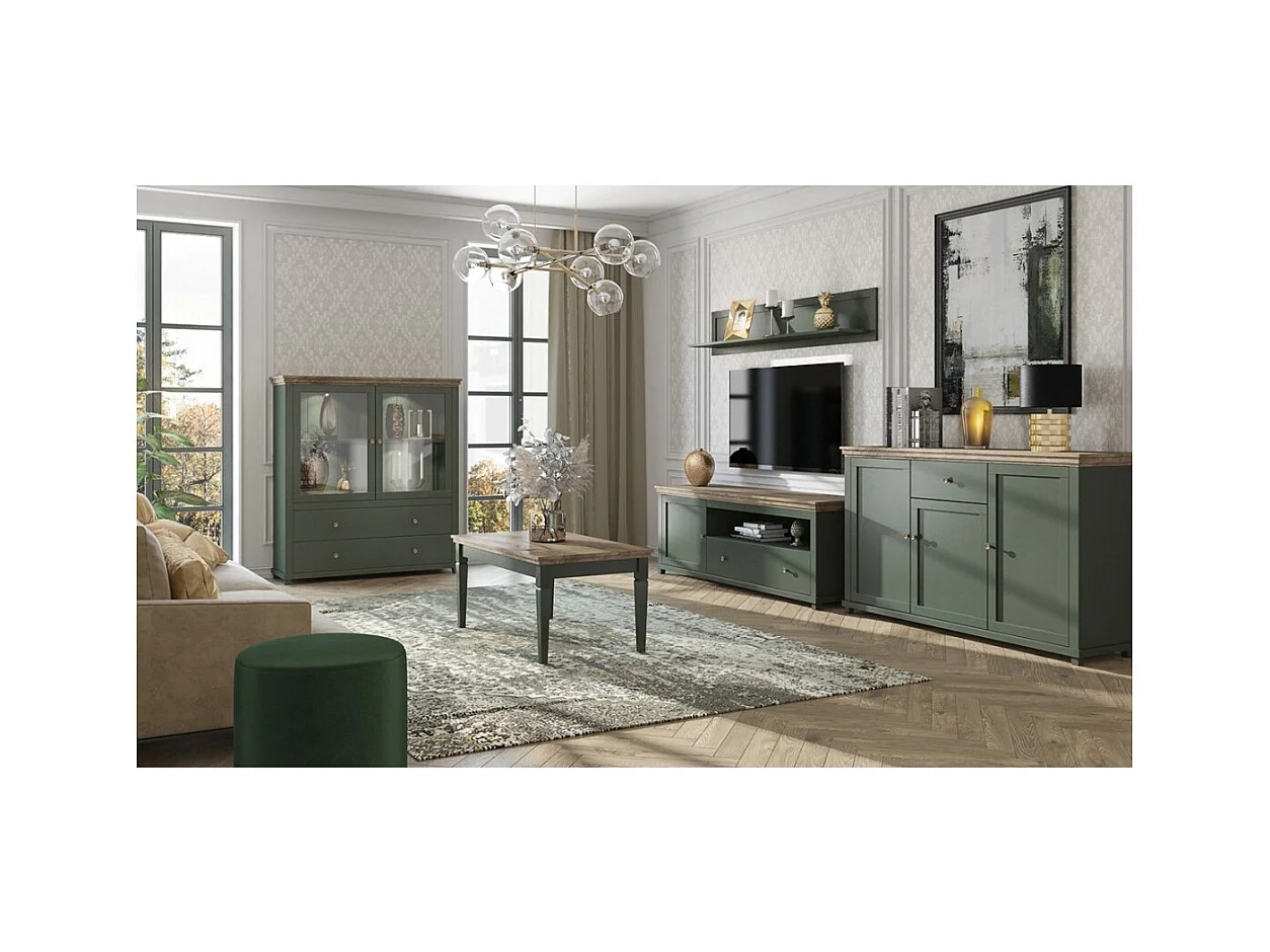 Ensemble de 5 meubles pour votre salon coloris vert et chêne. Collection ASSIA