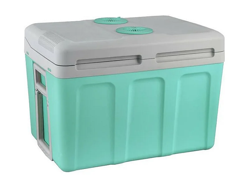 Thermoelektrische Kühlbox EZA 40L 12/220V