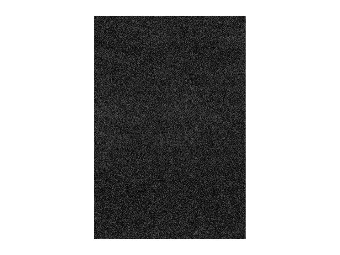 Zacht Hoogpolig Shaggy Tapijt - Zwart - 200x290cm - LILLY