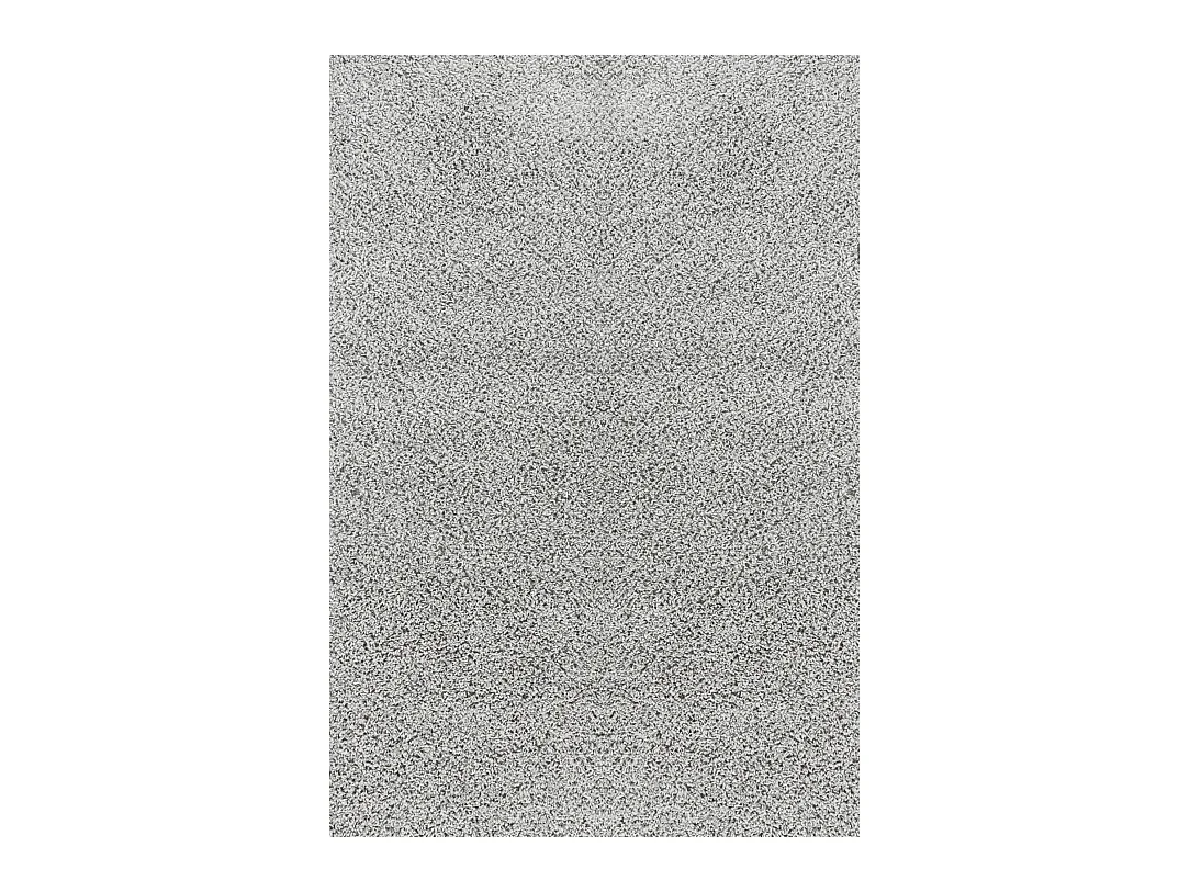 Tapis Shaggy Moderne - Gris - 100x200cm - LILLY