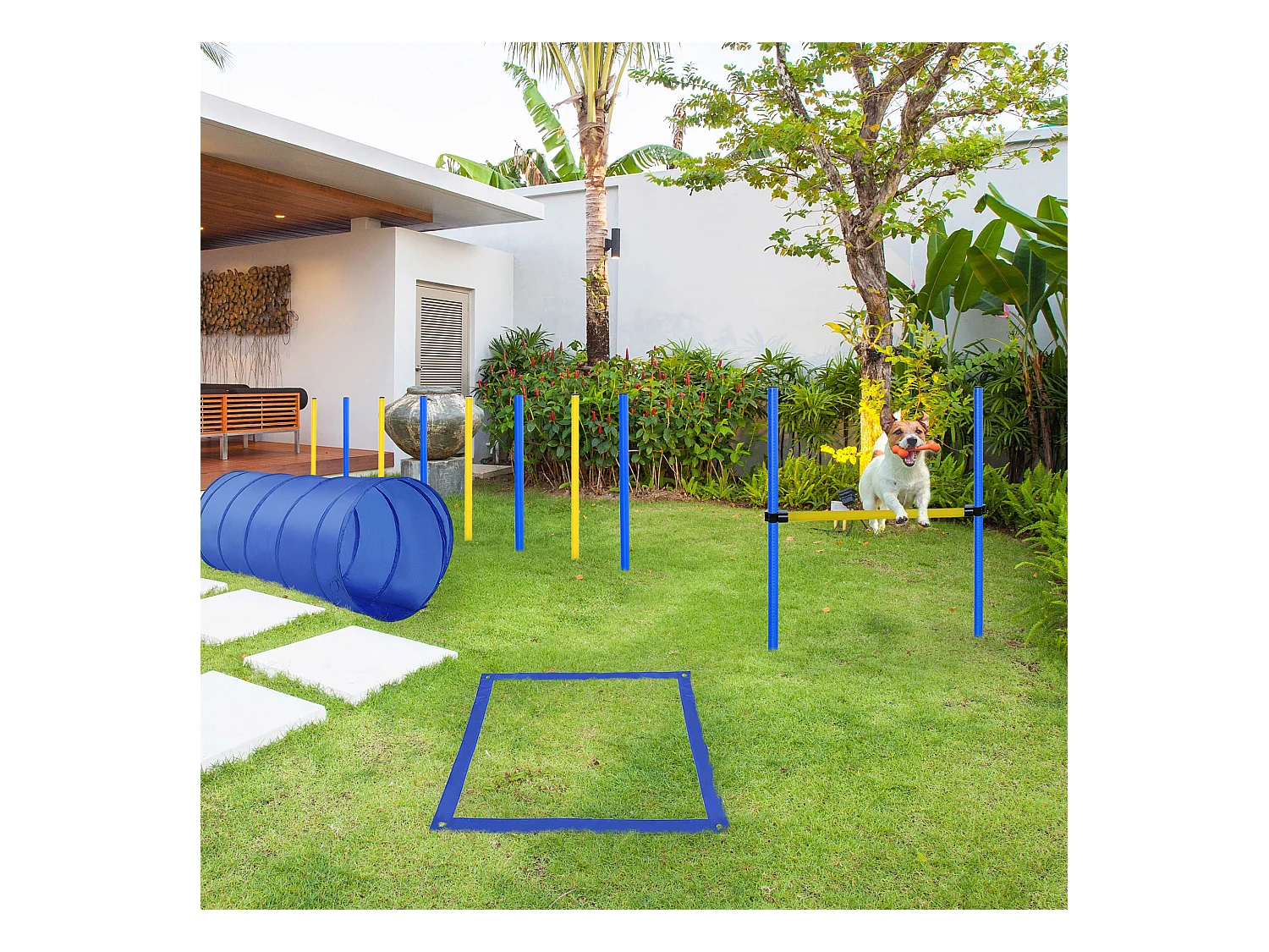 Agility sport pour chiens équipement complet obstacle, tunnel, slalom, zone repos + sac de transport bleu jaune