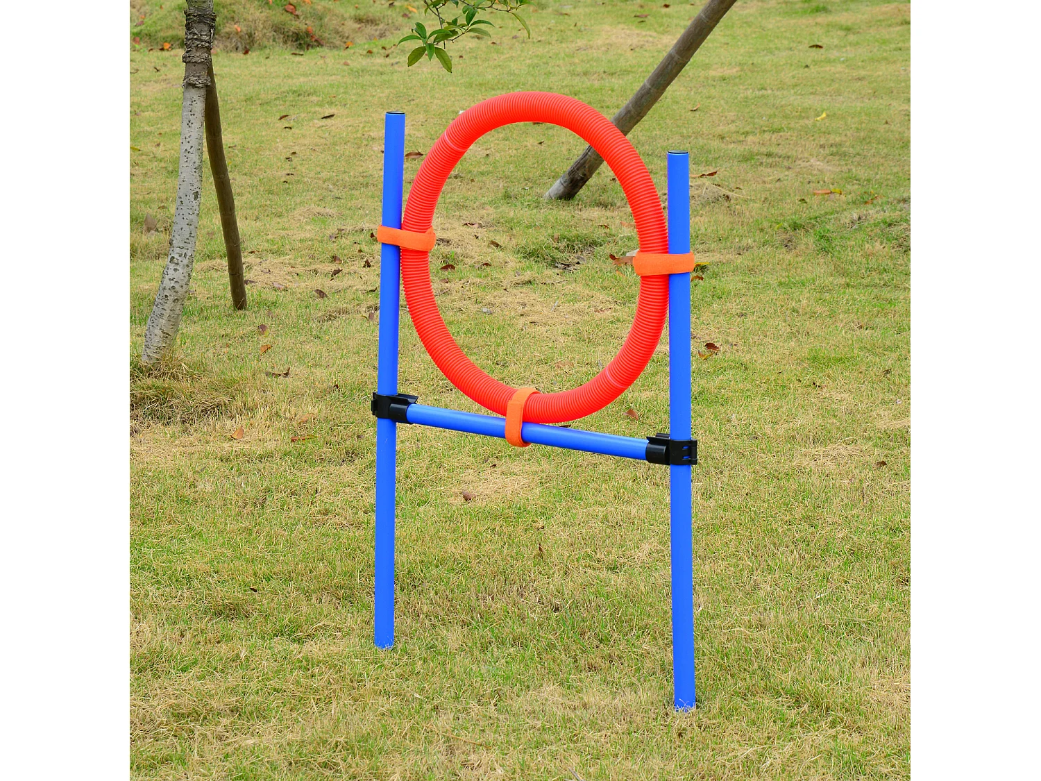 Agility sport pour chiens équipement complet obstacles et entrainement 11 pièces avec sac de transport acier rouge et bleu