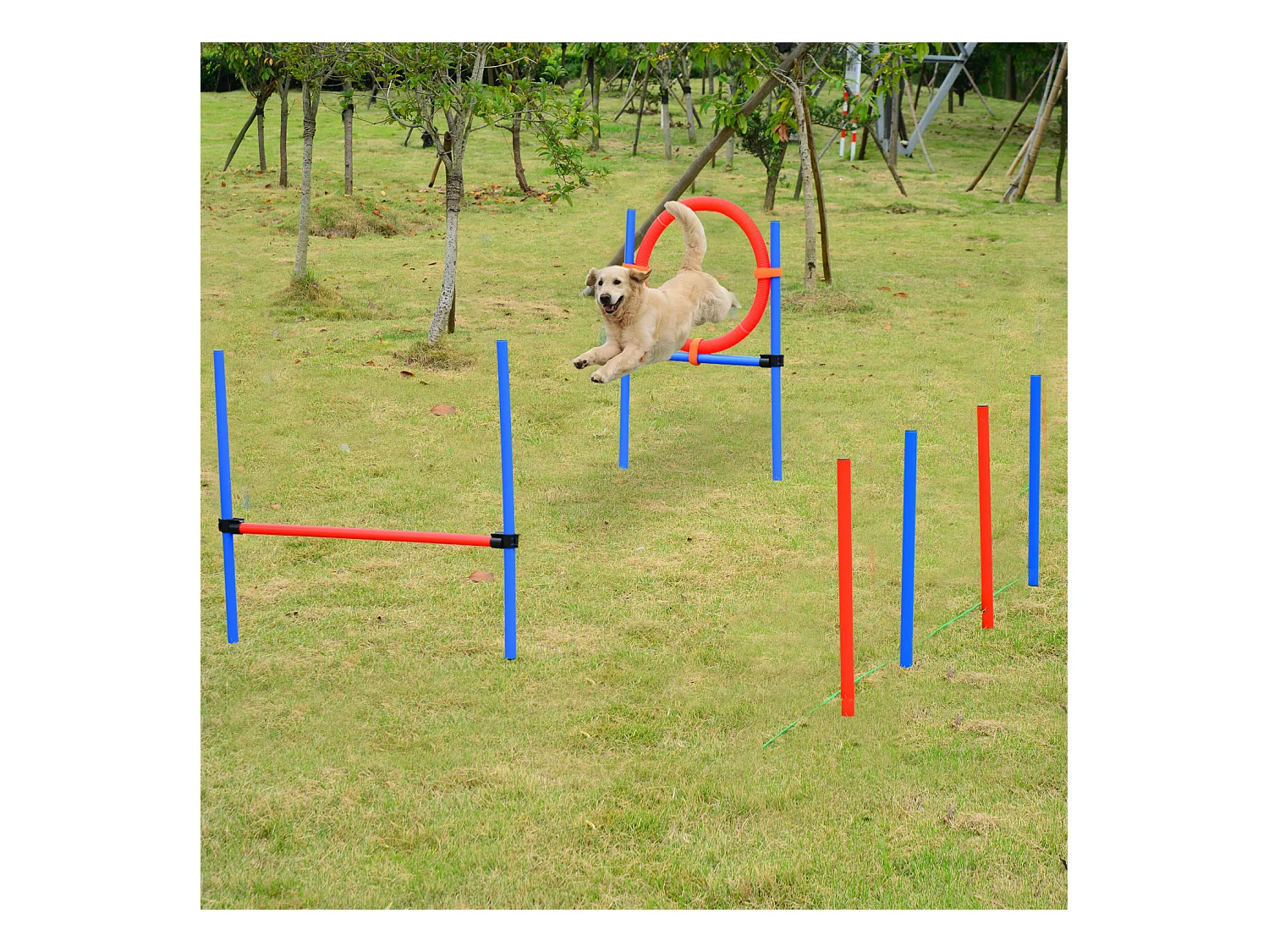 Agility sport pour chiens équipement complet obstacles et entrainement 11 pièces avec sac de transport acier rouge et bleu