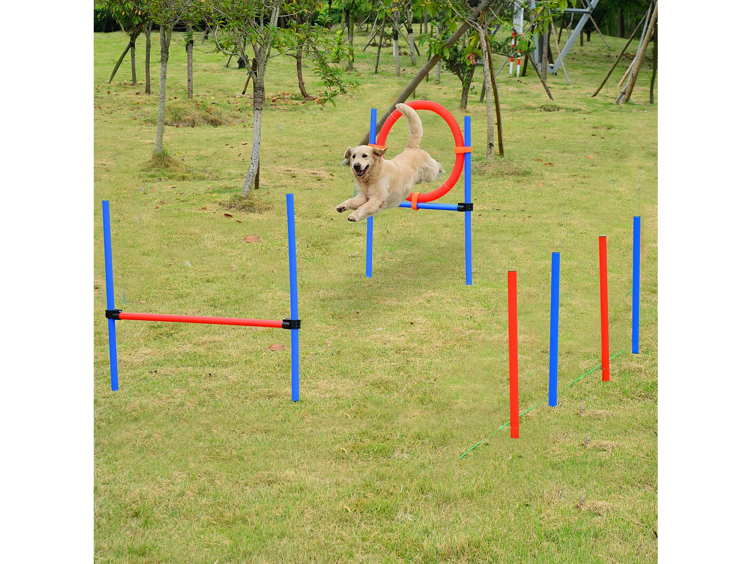 Agility sport pour chiens équipement complet obstacles et entrainement 11 pièces avec sac de transport acier rouge et bleu