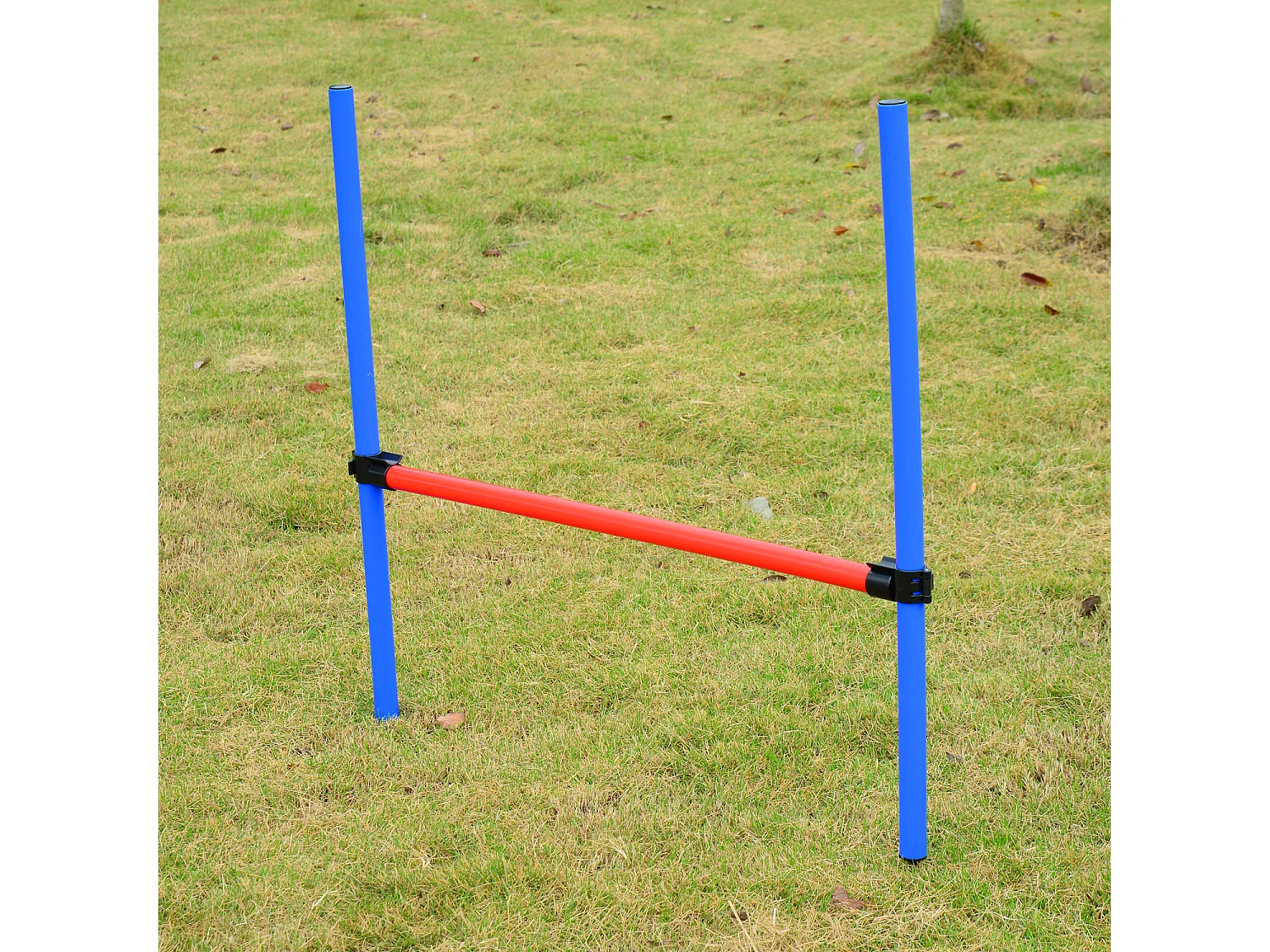 Agility sport pour chiens équipement complet obstacles et entrainement 11 pièces avec sac de transport acier rouge et bleu