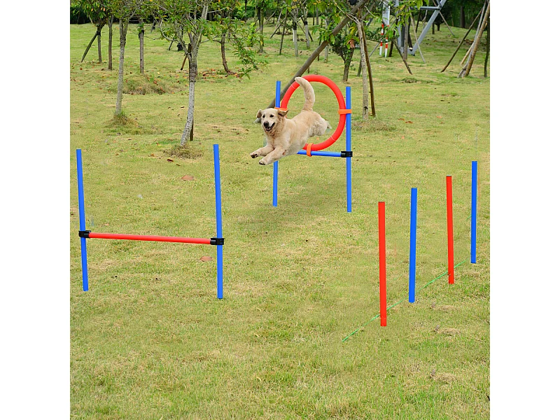 Agility sport pour chiens équipement complet obstacles et entrainement 11 pièces avec sac de transport acier rouge et bleu