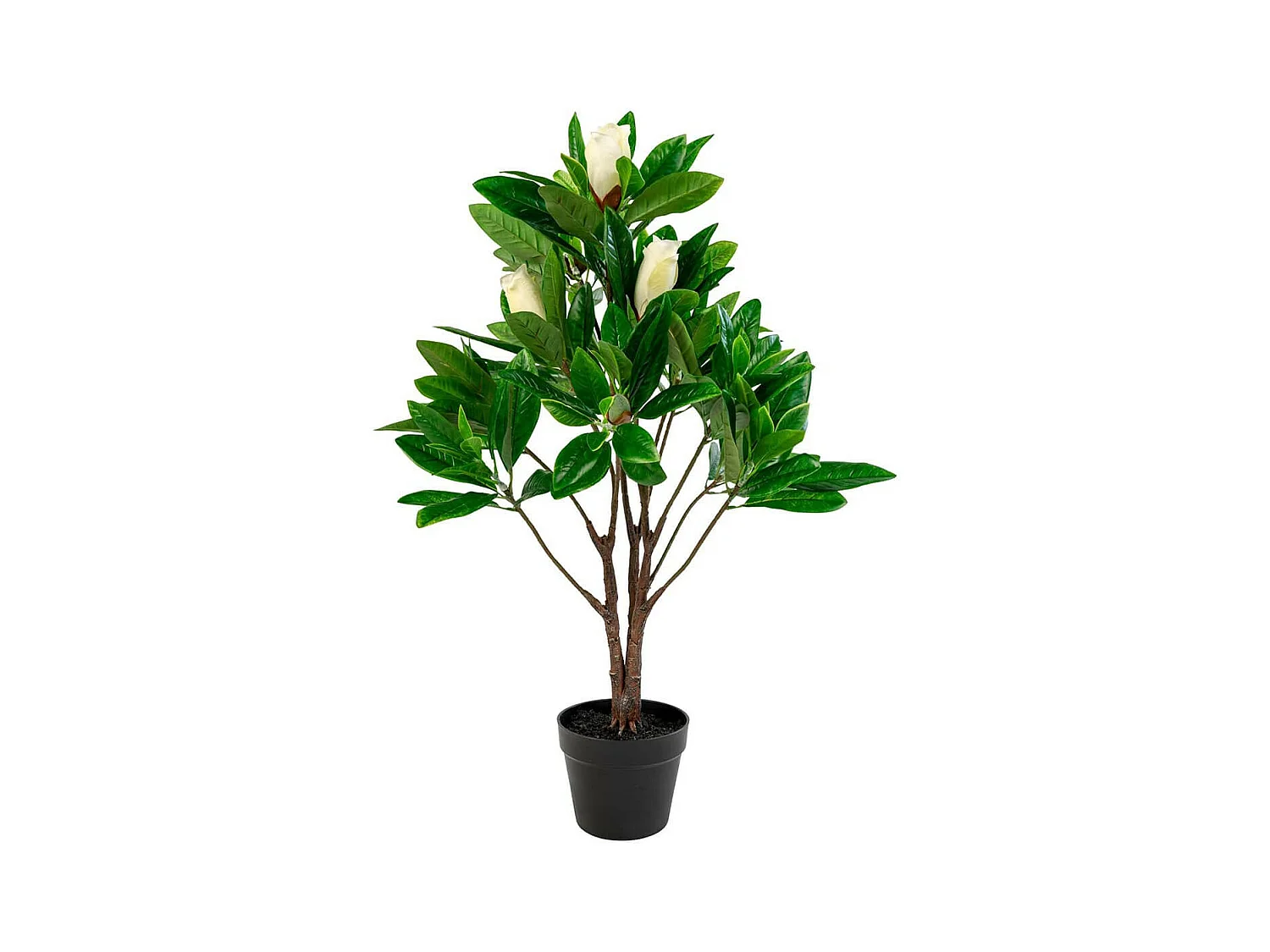 MASSO - Magnolia Décoratif Artificiel Hauteur 90cm