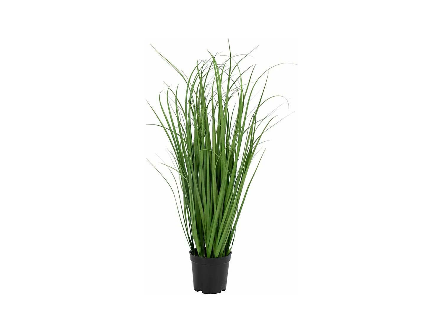 POANA - Pâturin Décoratif Artificiel Hauteur 68cm