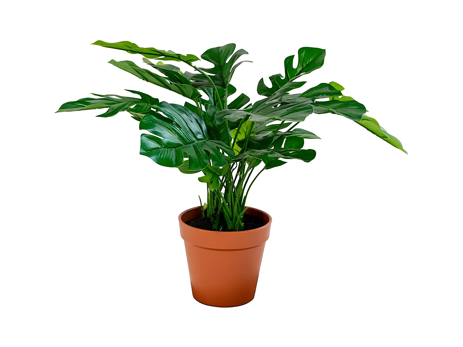 ROCKER - Monstera Décoratif Artificiel Hauteur 45cm