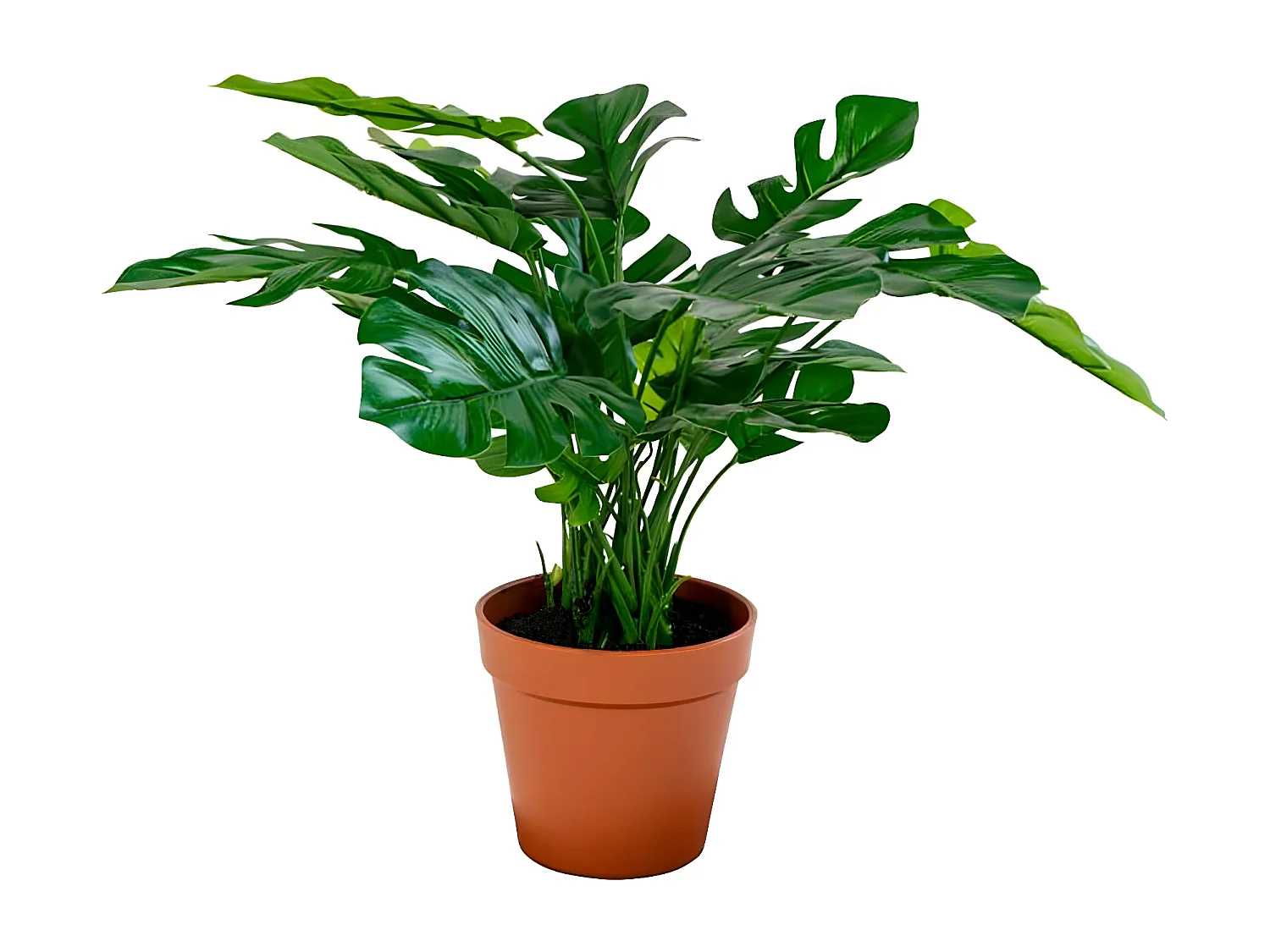 ROCKER - Monstera Décoratif Artificiel Hauteur 45cm