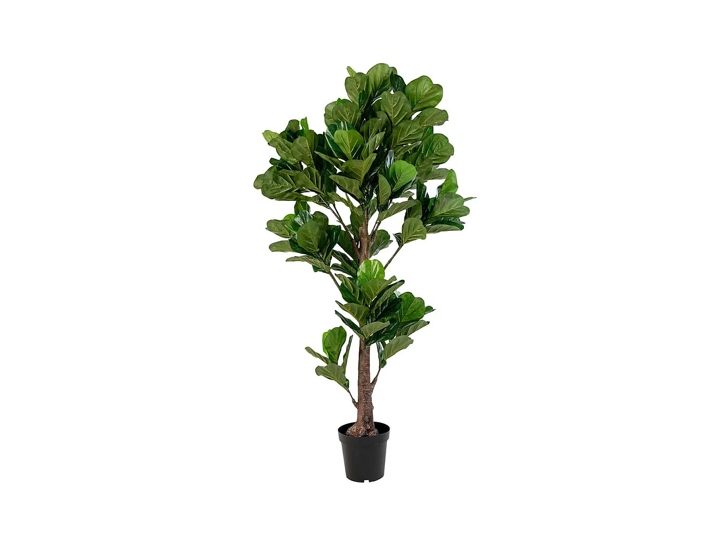 FRUTTY - Figuier Décoratif Artificiel Hauteur 190cm