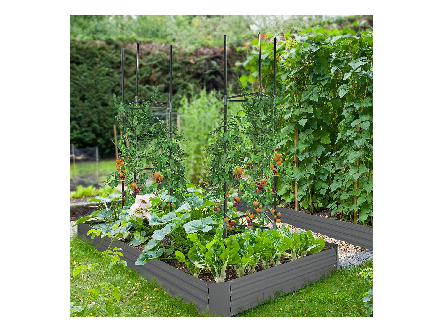 Carré potager de jardin avec tuteur modulable acier vert foncé - tôle d'acier ondulée gris clair