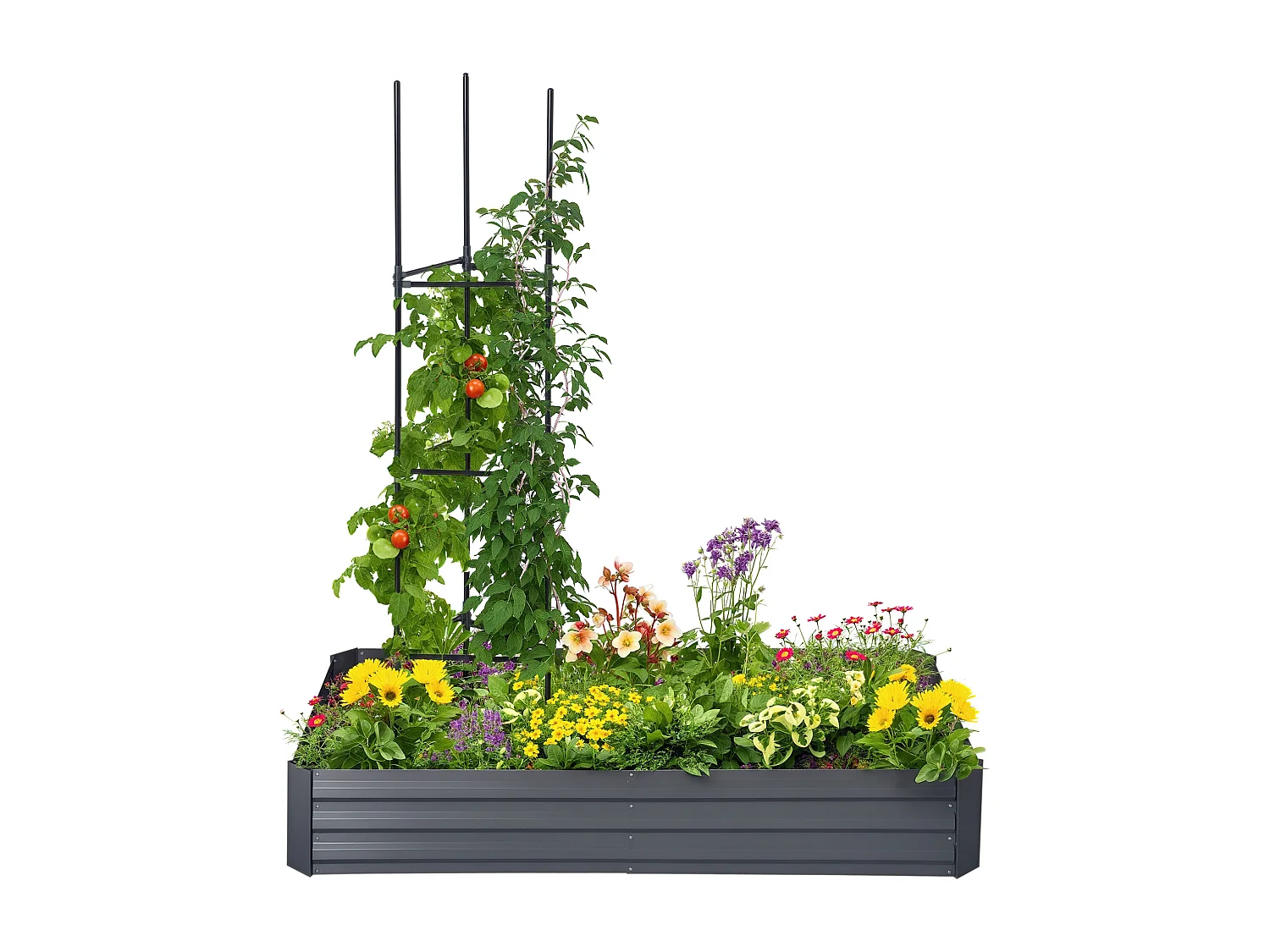 Carré potager de jardin avec tuteur modulable acier vert foncé - tôle d'acier ondulée gris clair