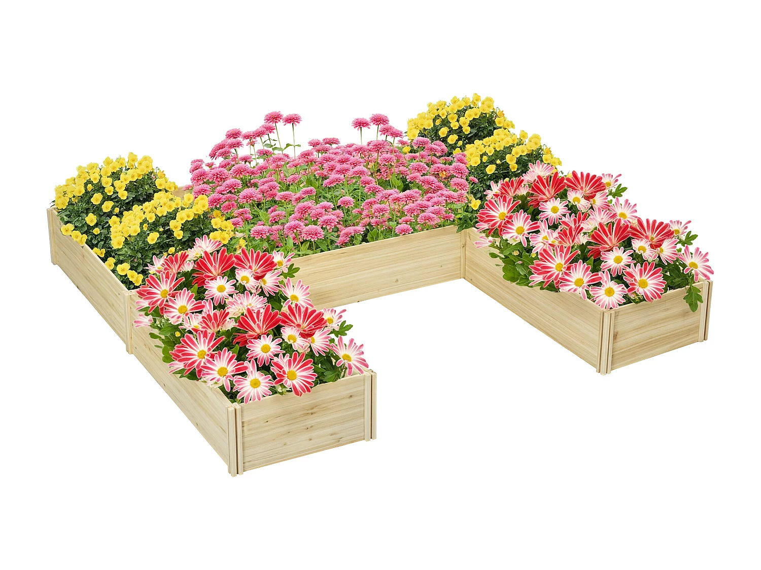 Lot de 5 jardinières - ensemble de 5 carrés potagers - forme personnalisable - bois de sapin pré-huilé