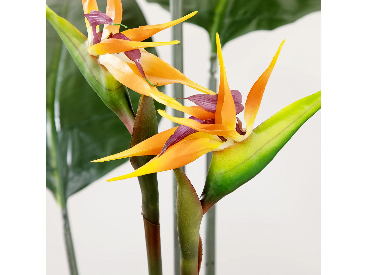 Plante artificielle Strelitzia H. 180 cm branches lichen feuilles fleurs grand réalisme pot inclus