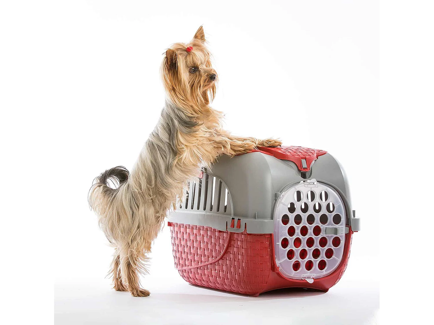 Portapacchi BAMA Tour 52x33x34cm