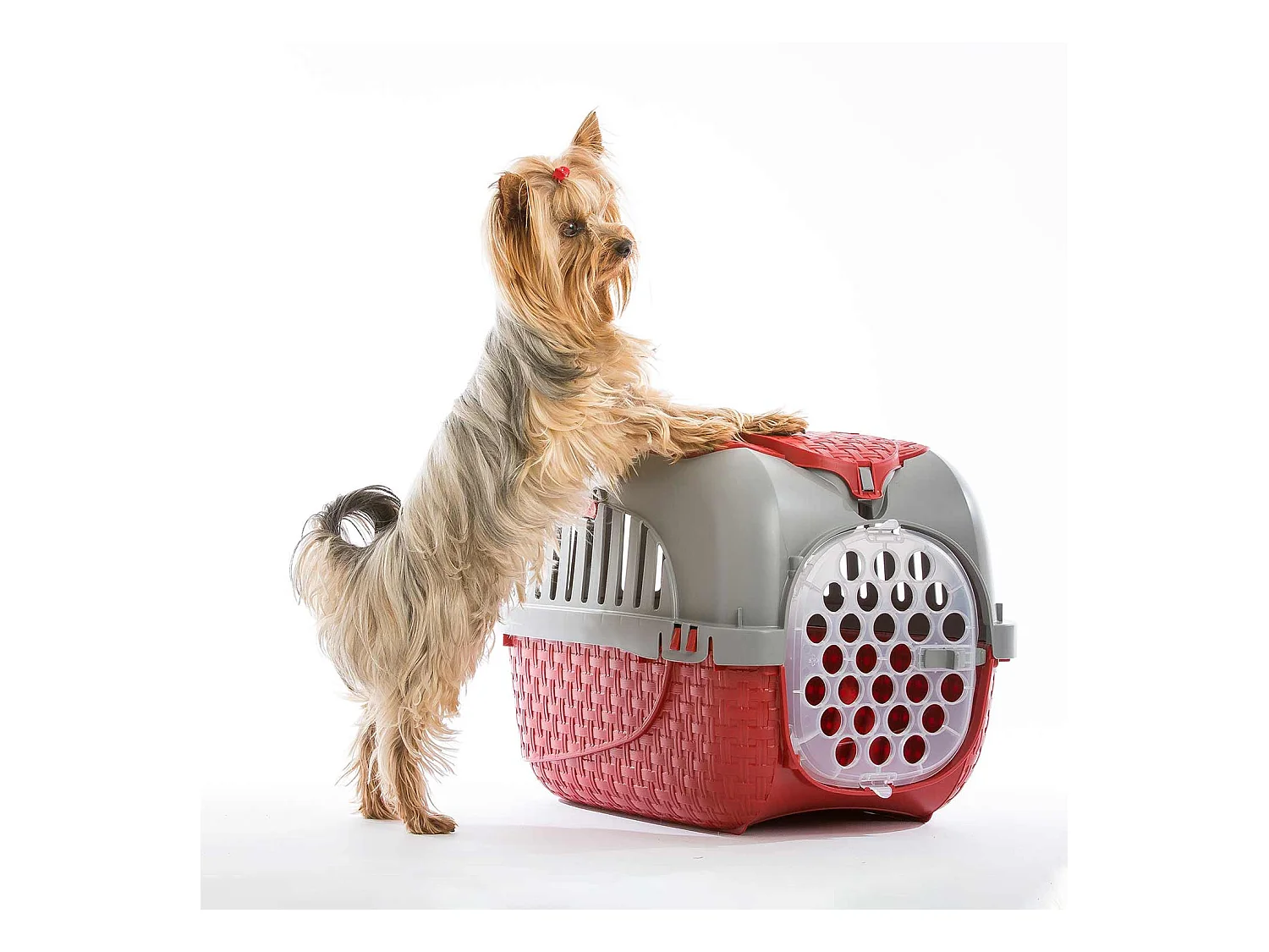 Transportín Maxy Tour 59x38x37cm BAMA