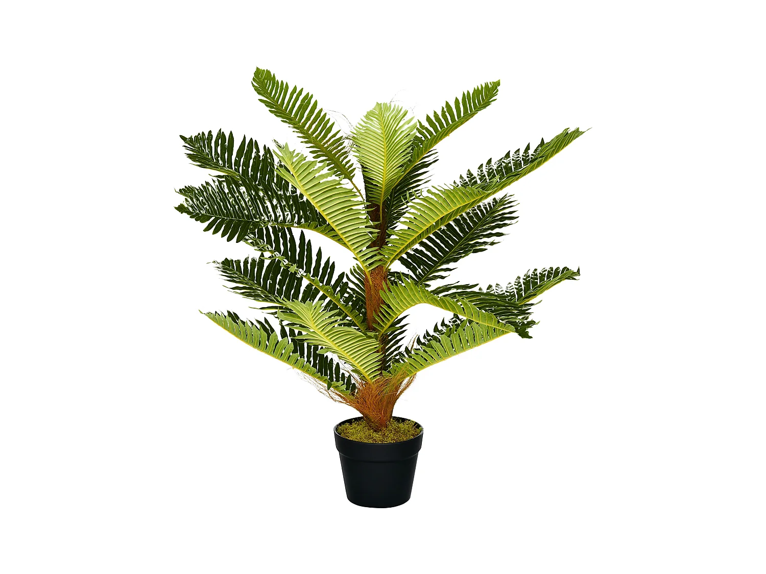 Palmier artificiel H.0,85 m arbre artificiel tronc branches lichen feuilles grand réalisme pot inclus