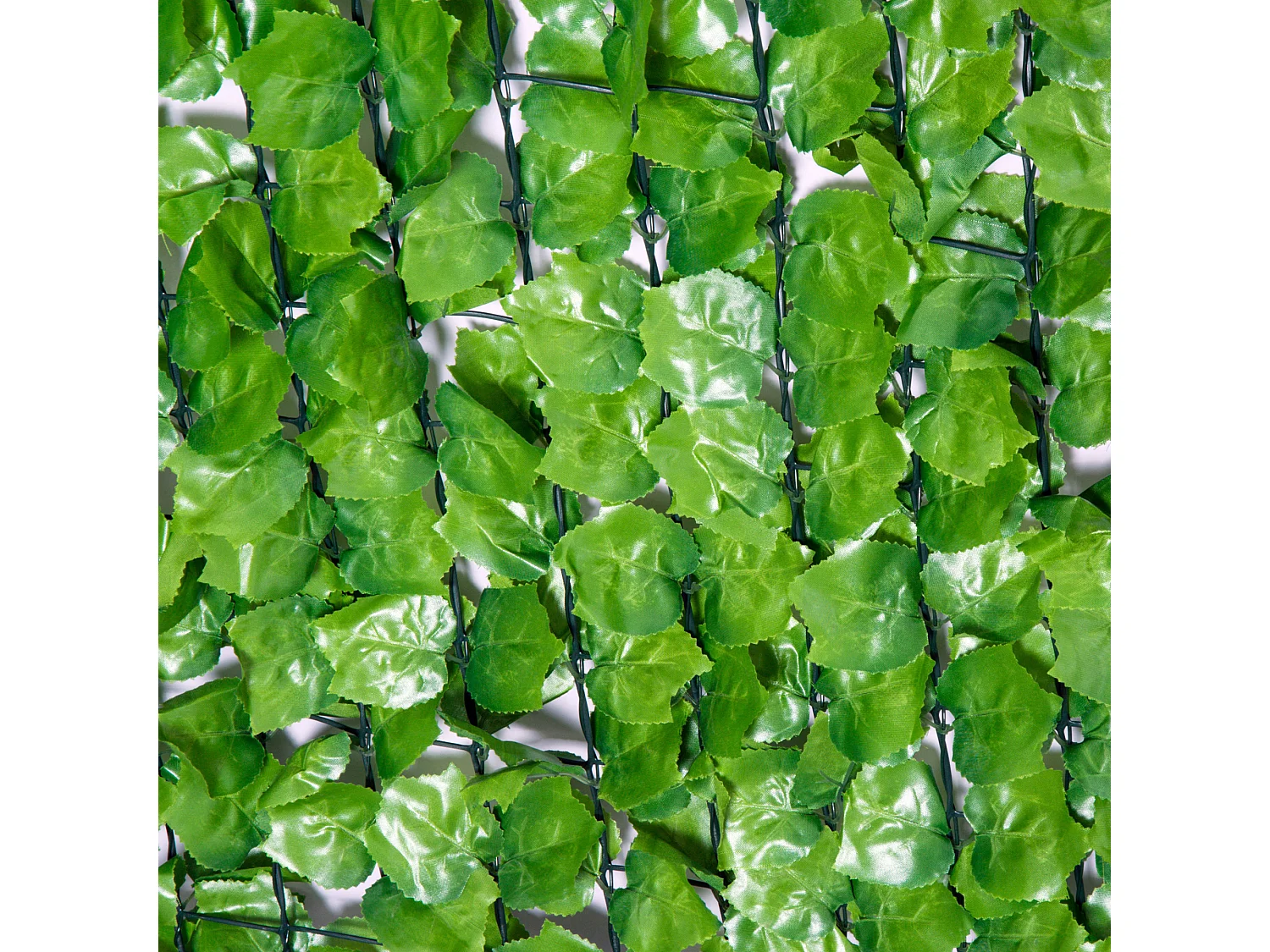 Haie artificiel érable brise-vue décoration rouleau 3L x 1,5H m  feuillage réaliste anti-UV vert