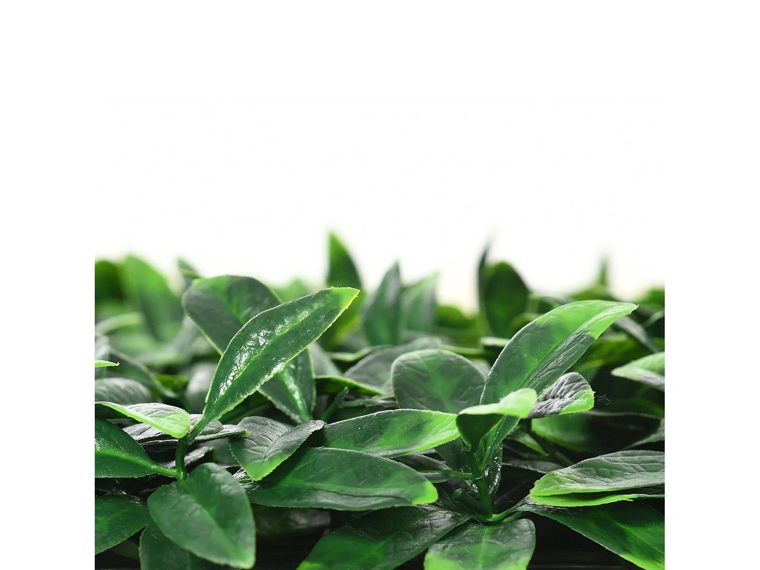 Haie artificielle feuilles de laurier - treillis extensible - brise-vue canisse végétale feuillage réaliste 12 panneaux 50L x 50l cm PE vert