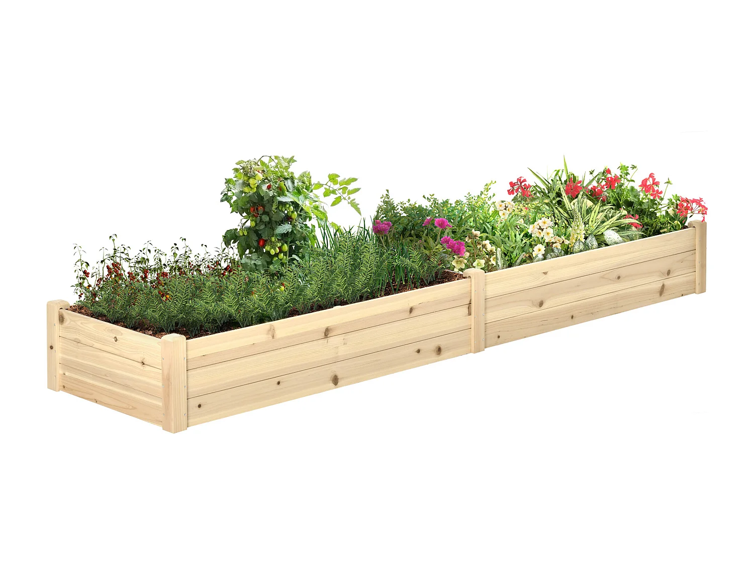 Carré potager de jardin dim. 244 x 61,5 x 27 cm feutre de drainage, séparation inclus bois de sapin