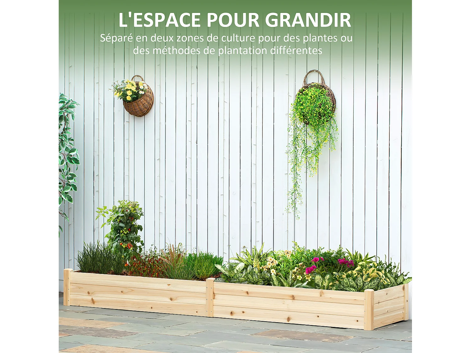 Carré potager de jardin dim. 244 x 61,5 x 27 cm feutre de drainage, séparation inclus bois de sapin