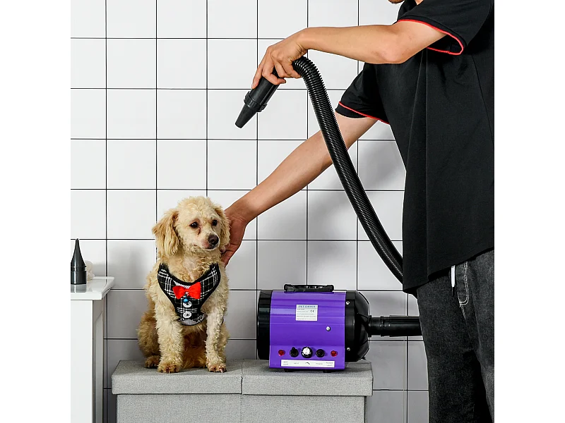Séchoir sèche-poils toilettage professionnel pour chien chat animaux 2800 W température + vitesse réglable rose fuchsia noir