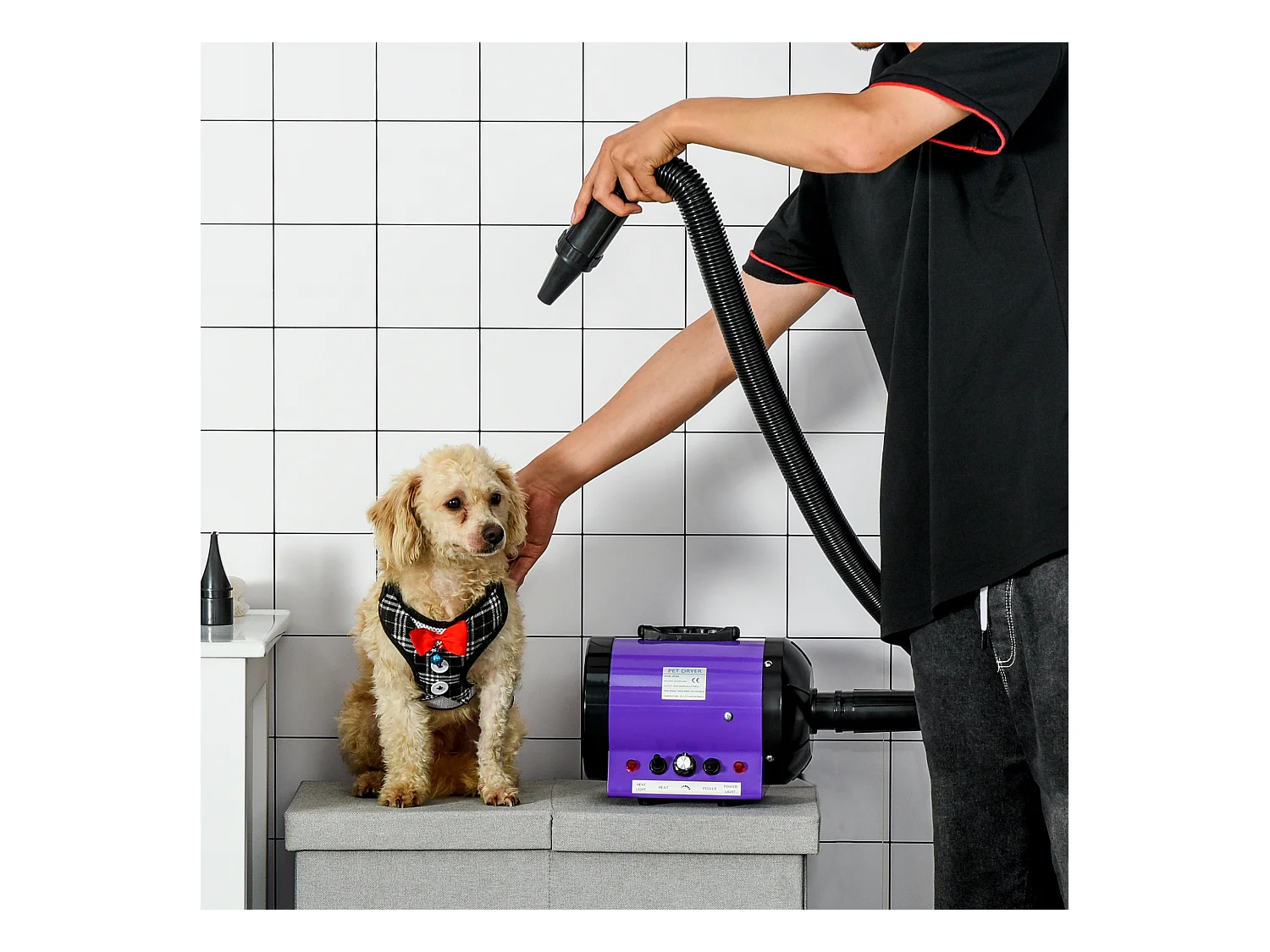 Séchoir sèche-poils toilettage professionnel pour chien chat animaux 2800 W température + vitesse réglable rose fuchsia noir