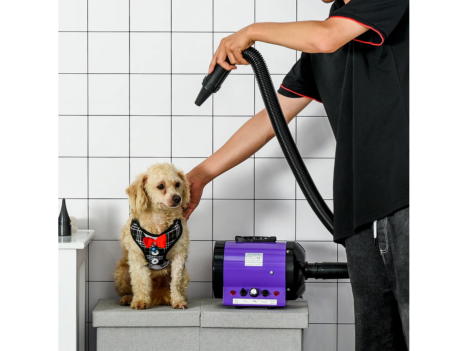 Séchoir sèche-poils toilettage professionnel pour chien chat animaux 2800 W température + vitesse réglable rose fuchsia noir