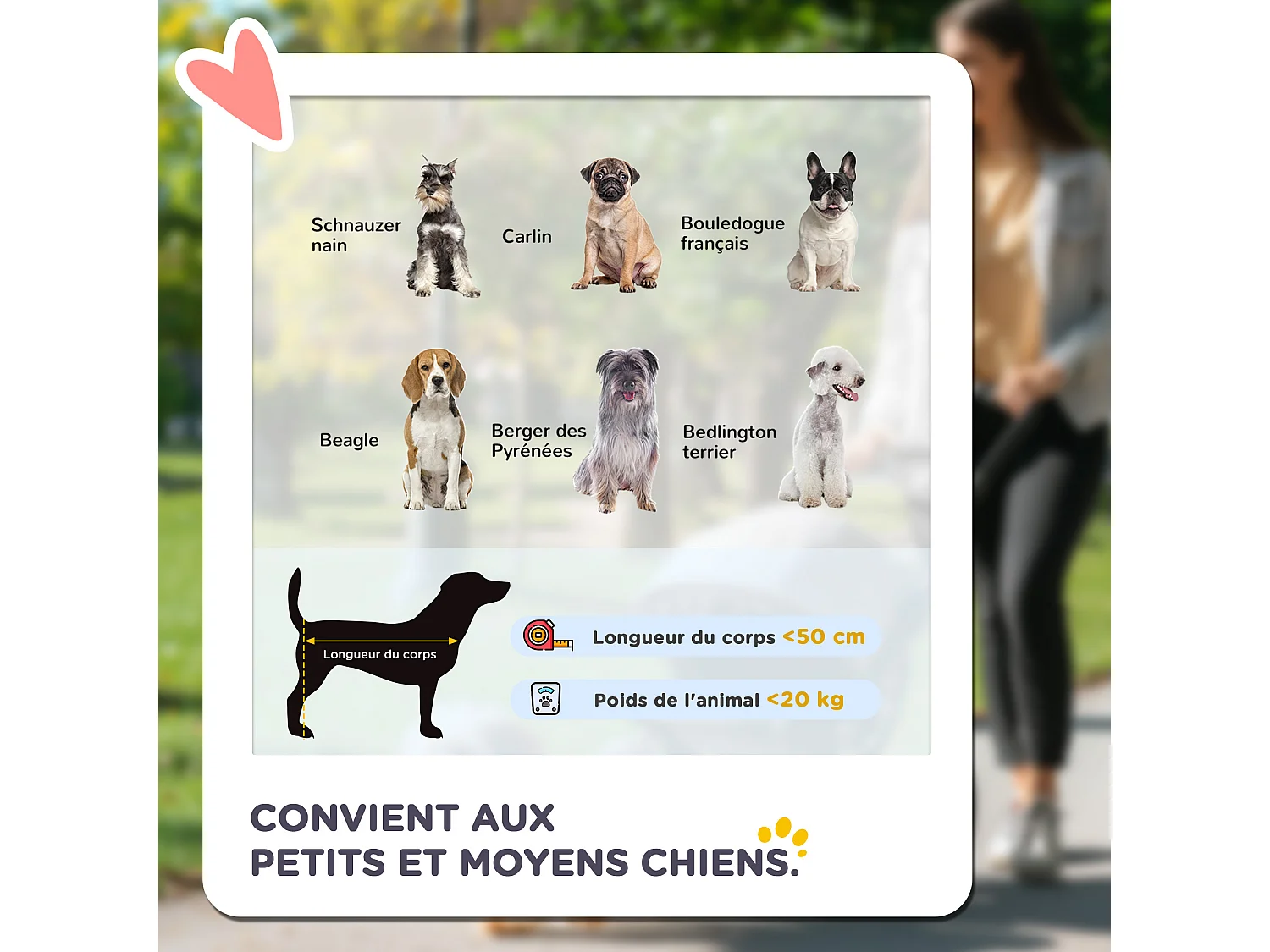 Poussette pliable pour chien chat 4 roues 3 pochettes rangement coussin acier oxford gris