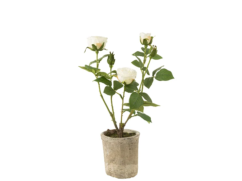 Plante Artificielle en Pot "Rosier" 39cm Blanc