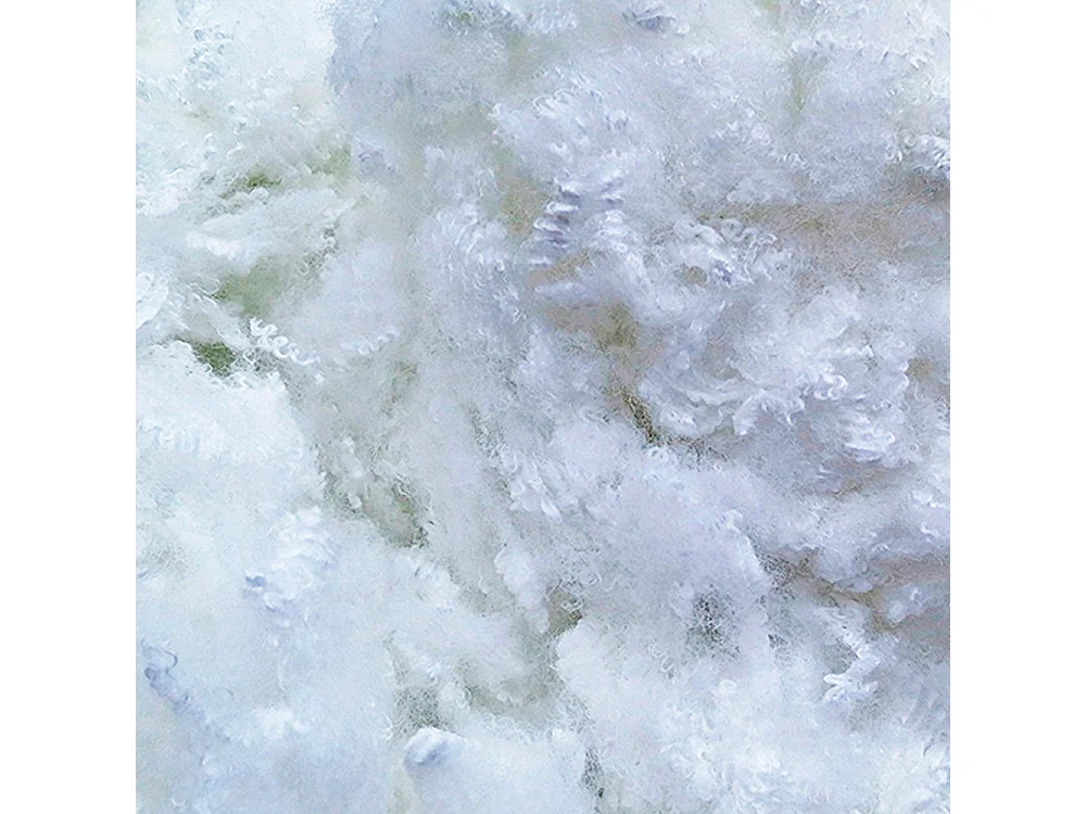 BELLECOUR LITERIE | Oreiller 45x70 cm GRAND PALACE | Fibres creuses polyester