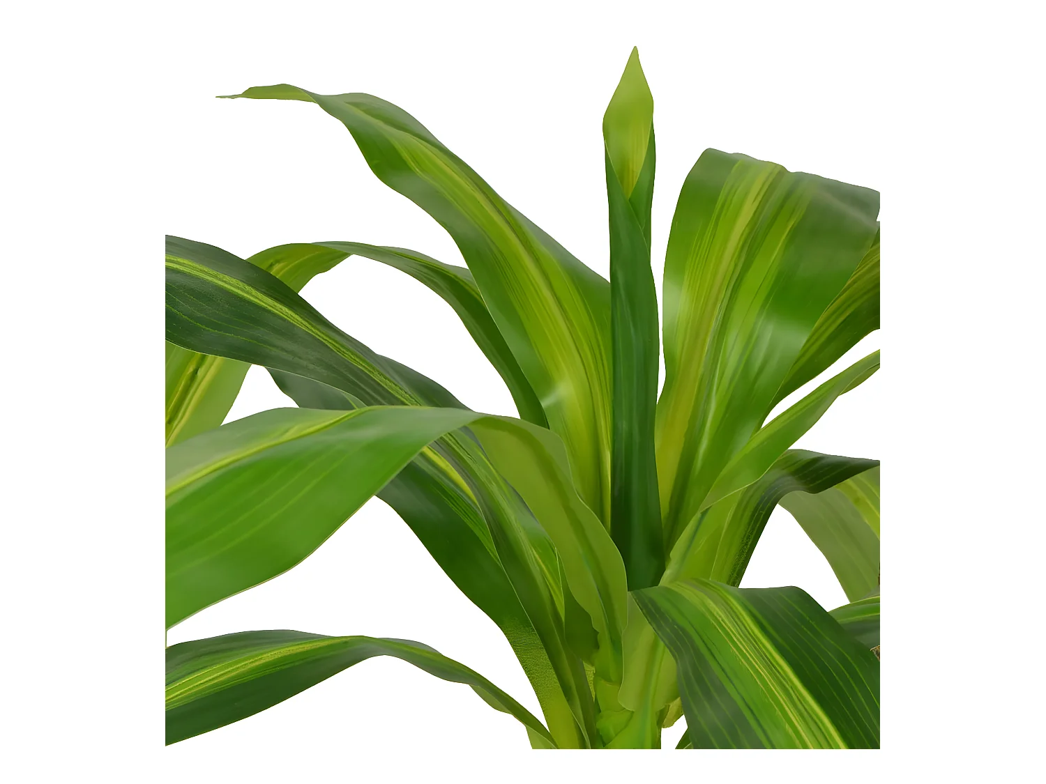 Plante artificielle avec pot 11.5 x 16 x 100 cm DEC021932