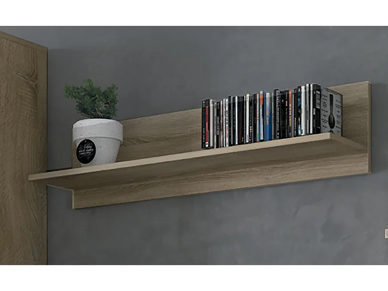 Ensemble de salon meuble TV +1 étagère murale + armoire avec éclairage LED + bibliothèque coloris chêne cambrian, chocolat