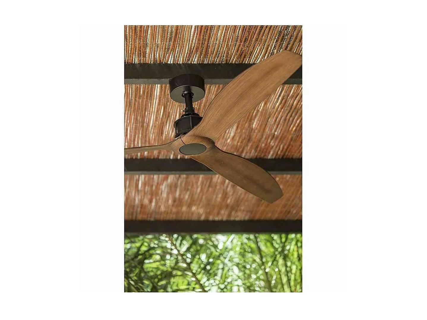 JUST FAN M Ventilateur DC noir/bois