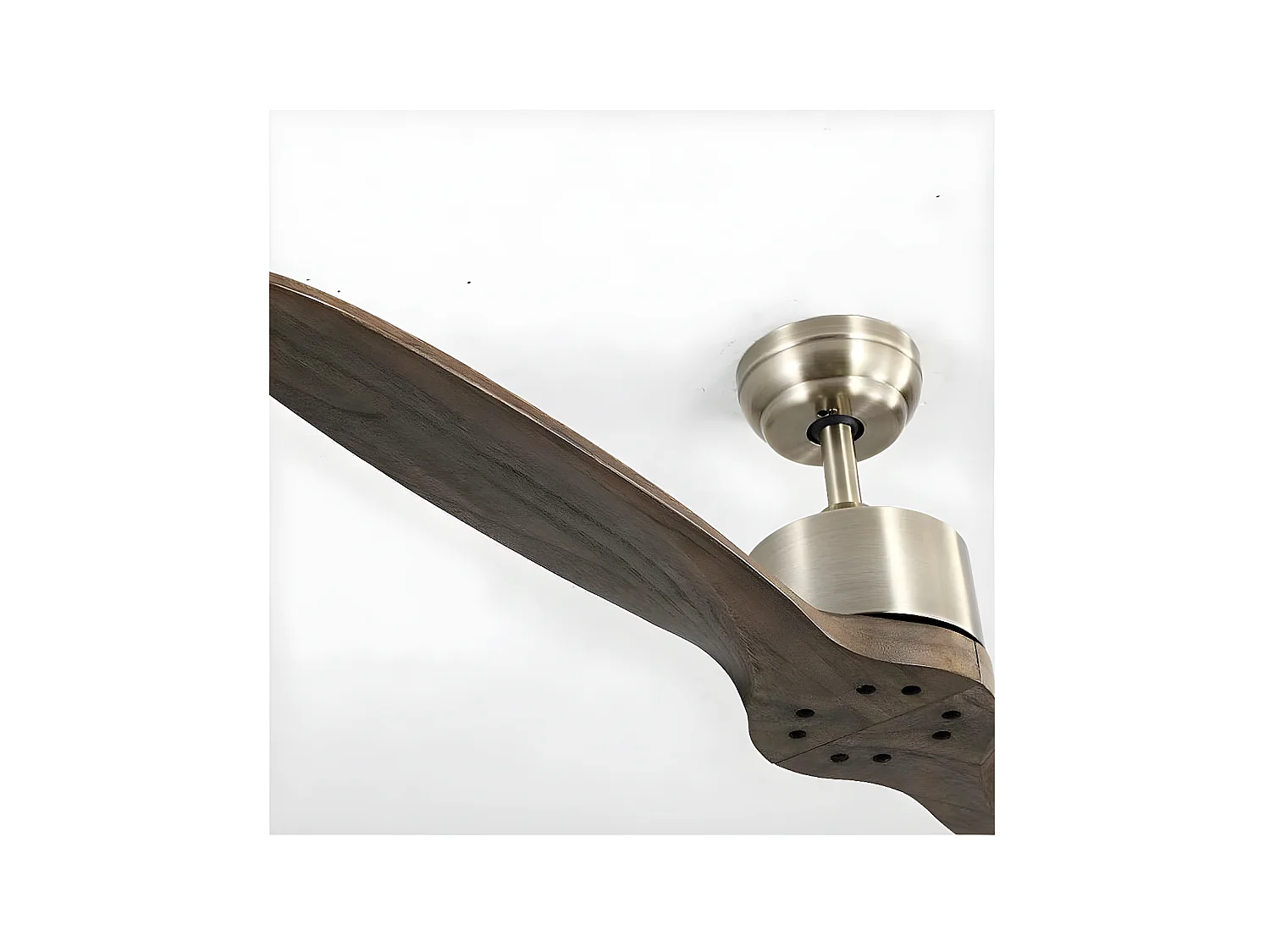 DC Fantation Leste Oak sans lumière deux lames avec minuteur de fabrication