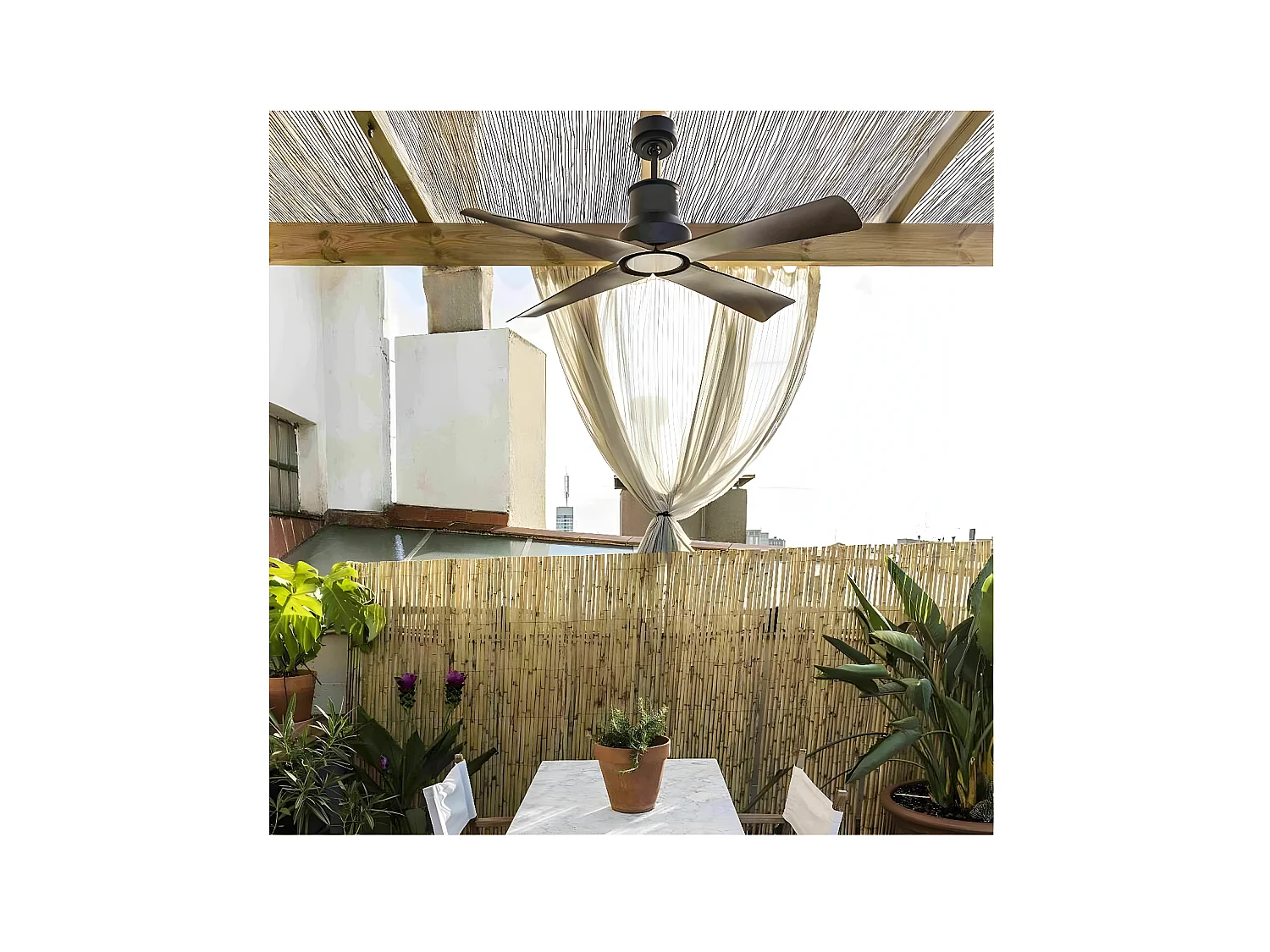 WINCHE M Brauner DC-Deckenventilator