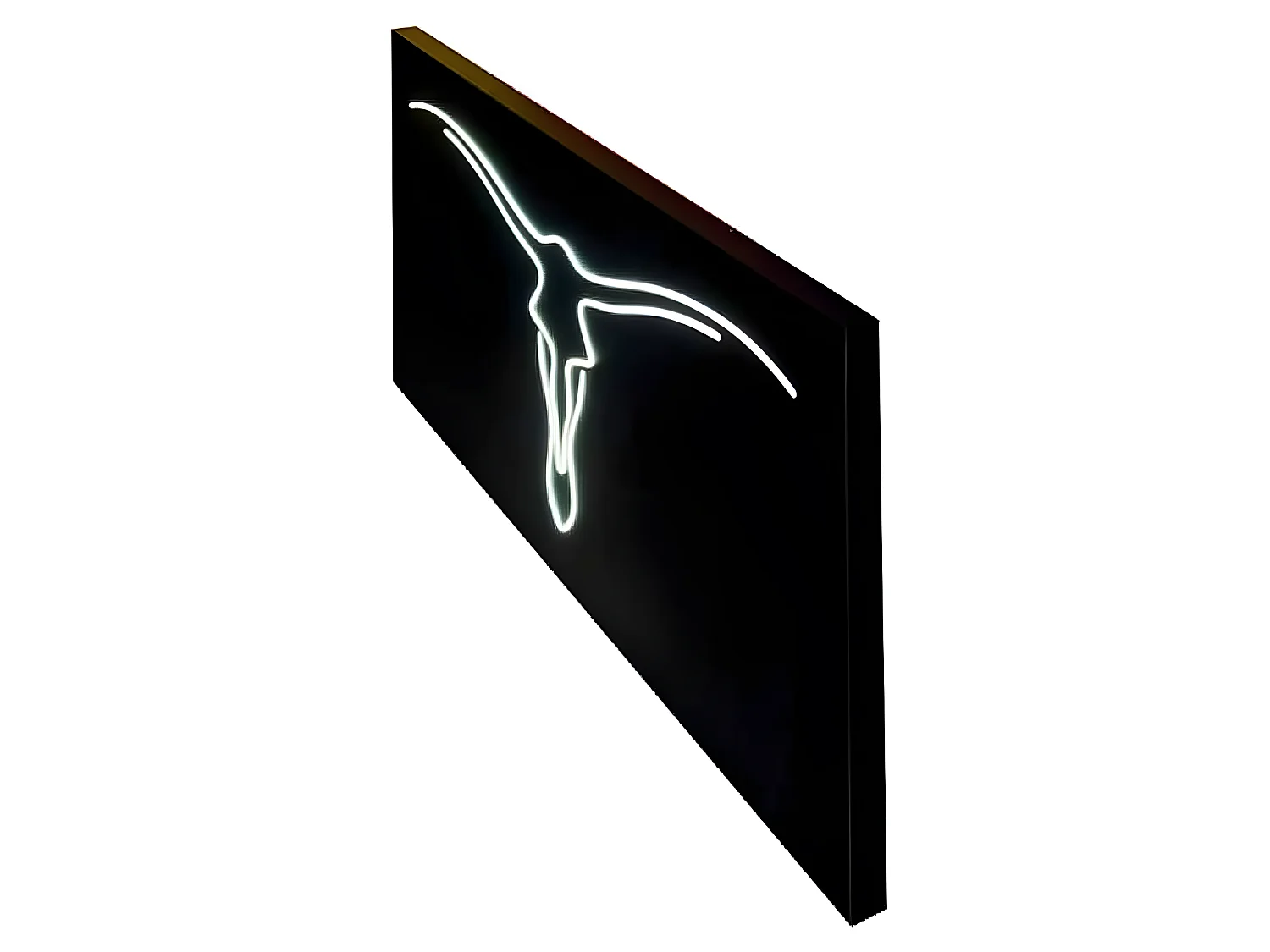 Appliquez des traits décoratifs de LED noires MANTRA