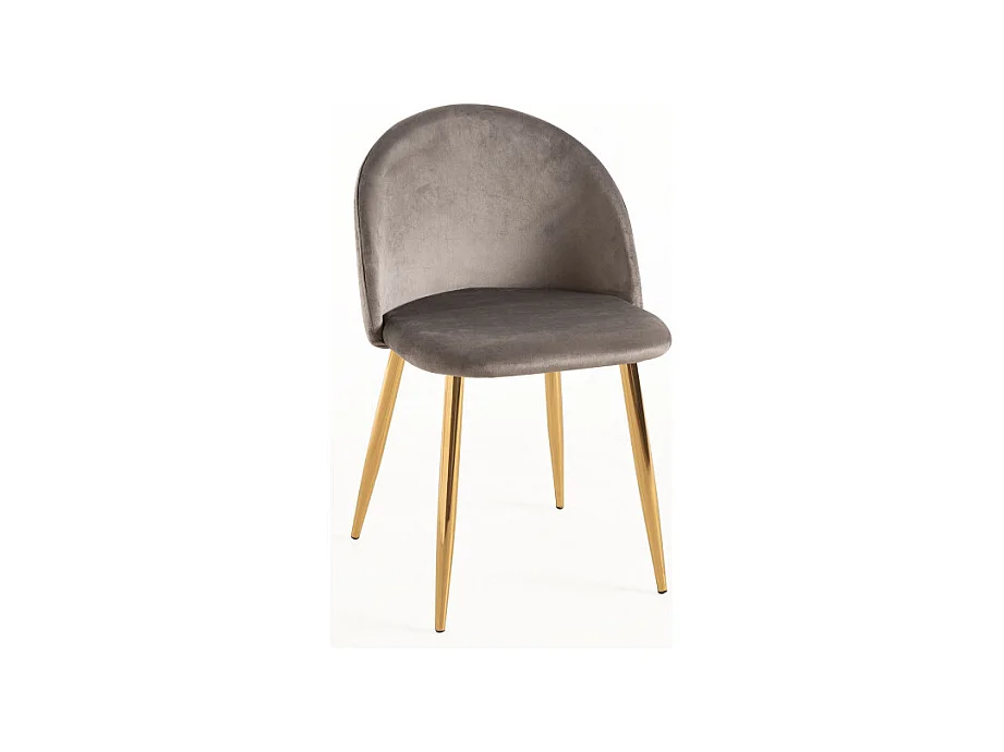 Sillas Comedor - Silla Vint Terciopelo Golden - Gris