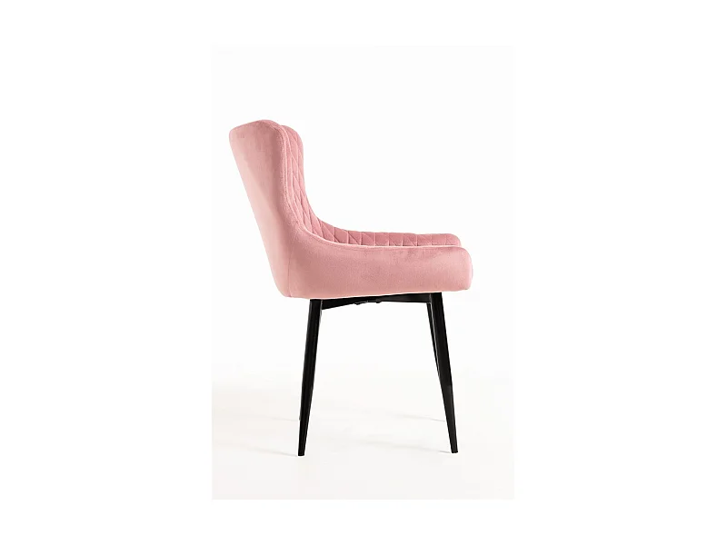 Sillas Comedor - Silla Sanda Terciopelo - Rosa