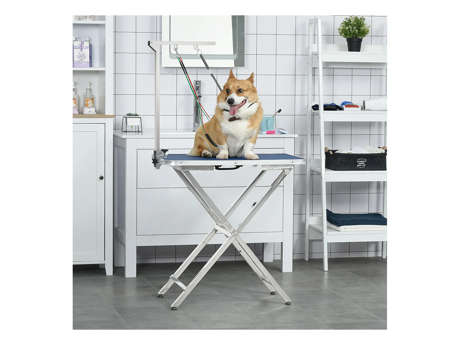 Bras de toilettage pliable animaux - hauteur réglable max. 74 cm - 3 colliers de serrage - chien taille moyenne - alu. acier inox.