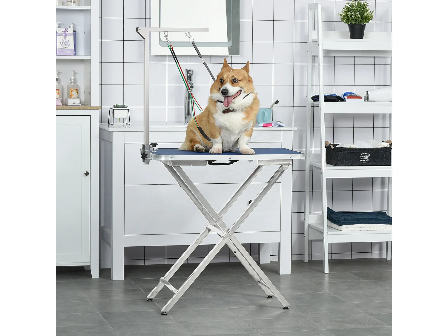 Bras de toilettage pliable animaux - hauteur réglable max. 74 cm - 3 colliers de serrage - chien taille moyenne - alu. acier inox.