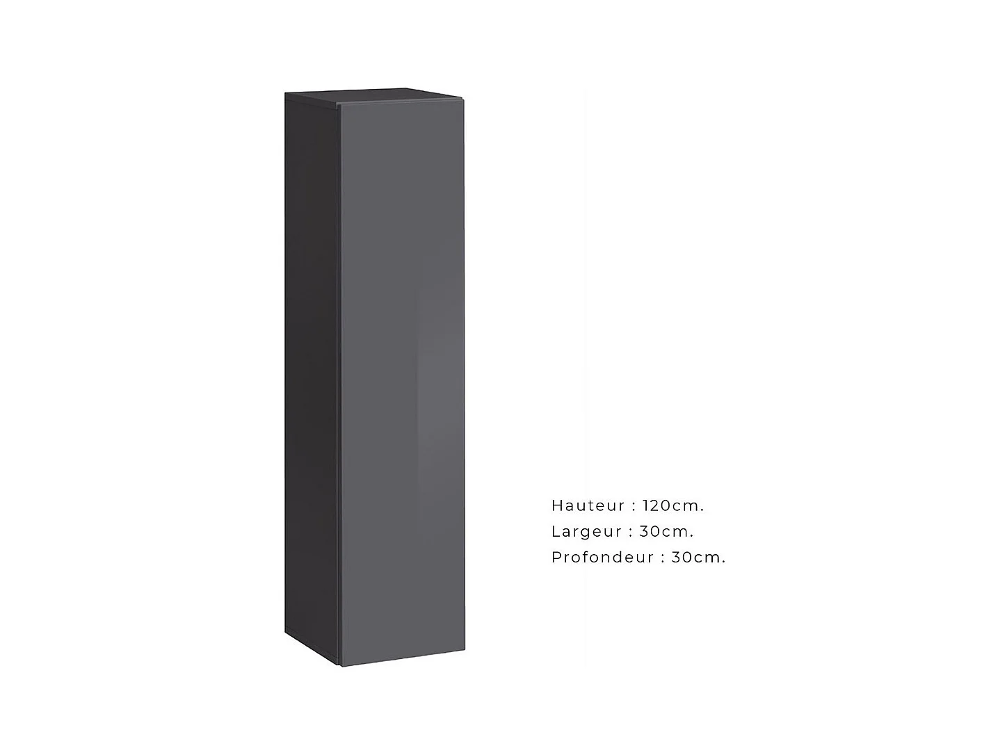 Armoire colonne suspendue – Gris – Collection SWITCH – 30x120 cm – Design moderne