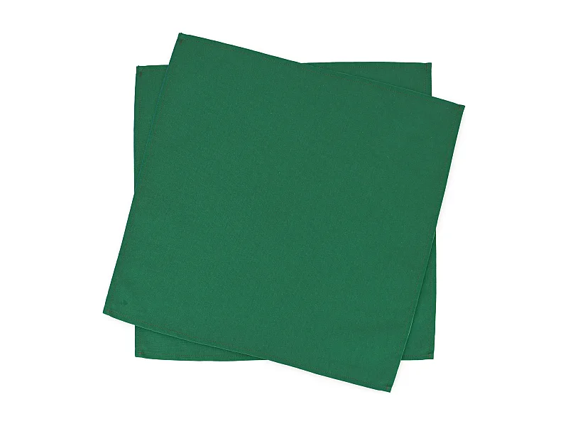 Lot de 2 Set de table carré 45x45 cm DIABOLO vert Sapin traitement teflon