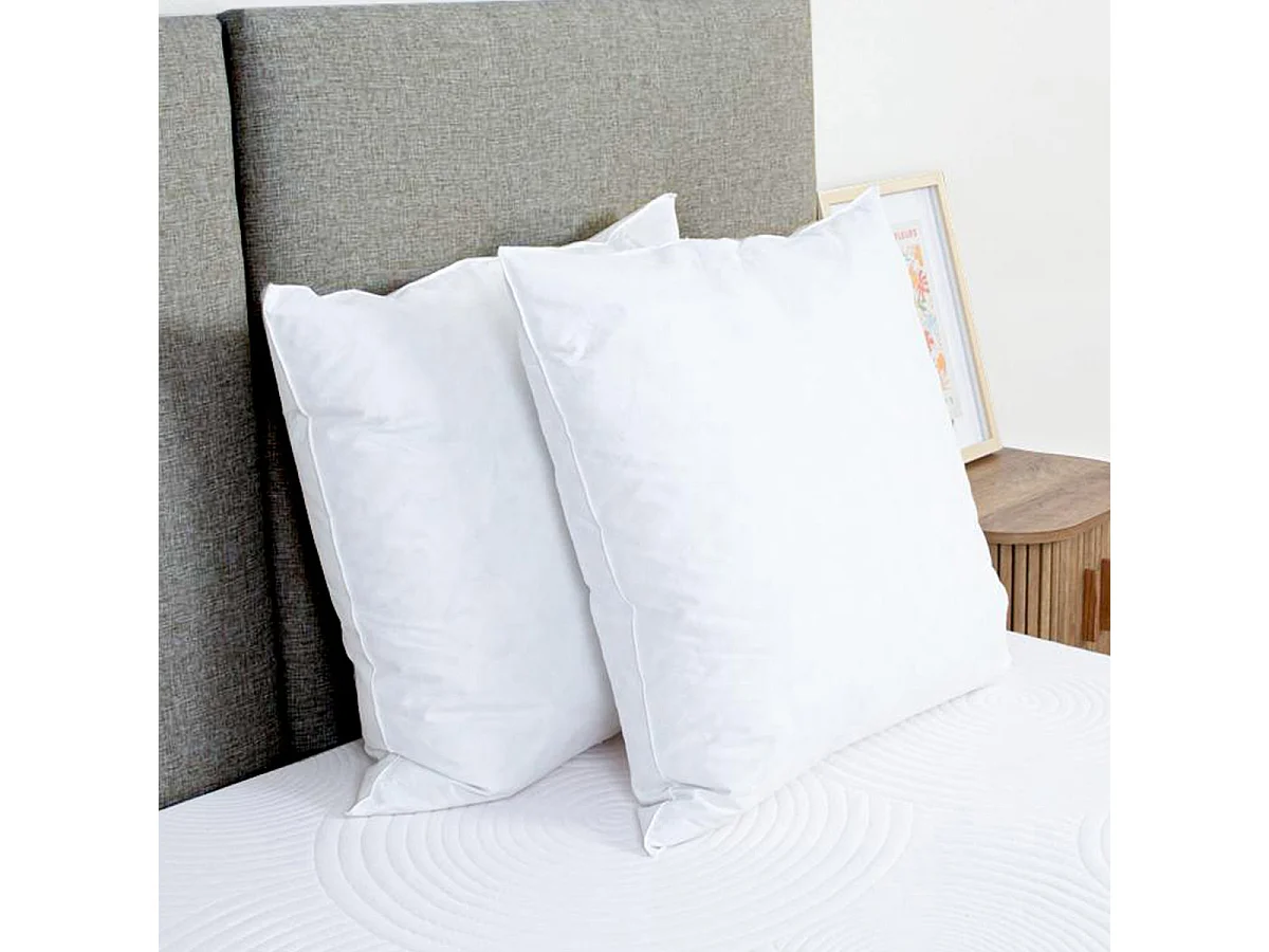 Oreiller Chambord 60x60 cm Duvet & Plumes