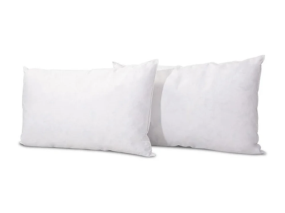 BELLECOUR LITERIE | Lot de 2 oreillers 40x60 cm CHAMBORD | Duvet & Plumes