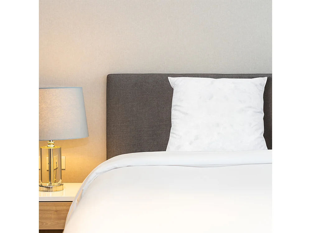 BELLECOUR LITERIE | Oreiller 65x65 cm CHAMBORD | Duvet & Plumes