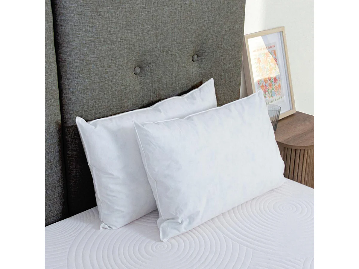 Oreiller Chambord 65x65 cm Duvet & Plumes