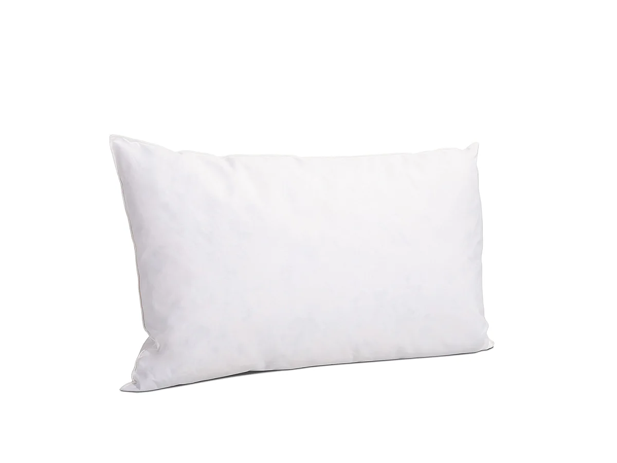 Lot de 2 oreillers Chambord 45x70 cm Duvet & Plumes